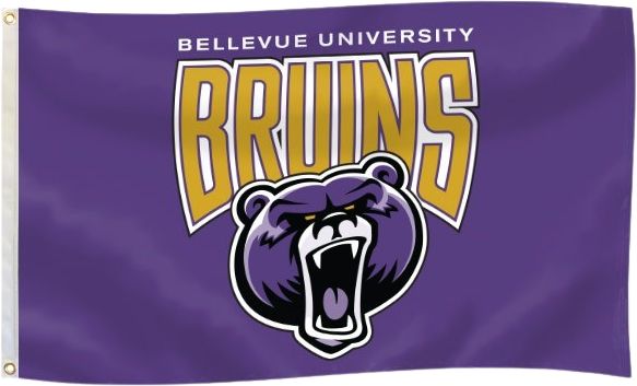 Bellevue University 3'x5' Flag