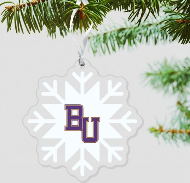 Bellevue University 3'' x 4'' Ornament