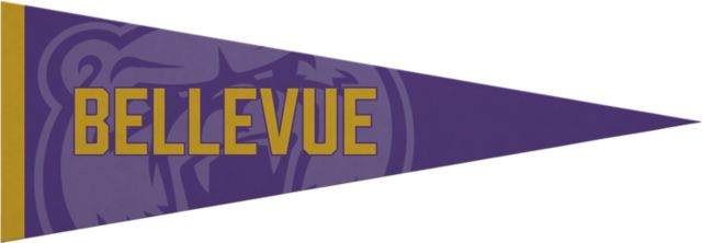 Bellevue University 5x15 Pennant
