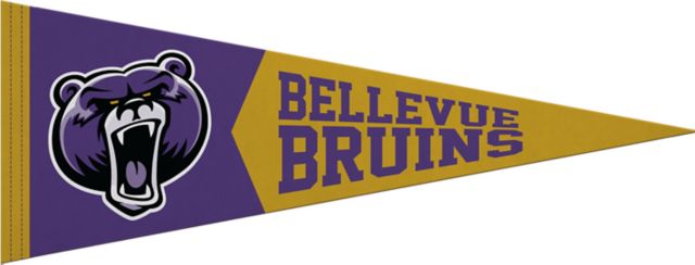 Bellevue University Bruins 9x24 Pennant