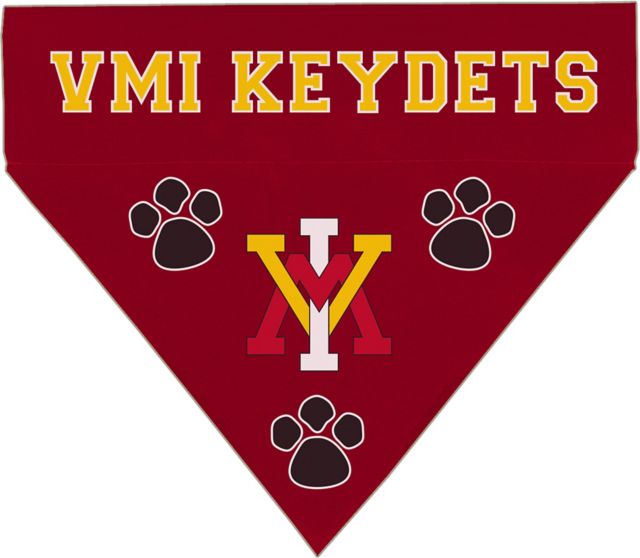 Vmi on sale dog collar