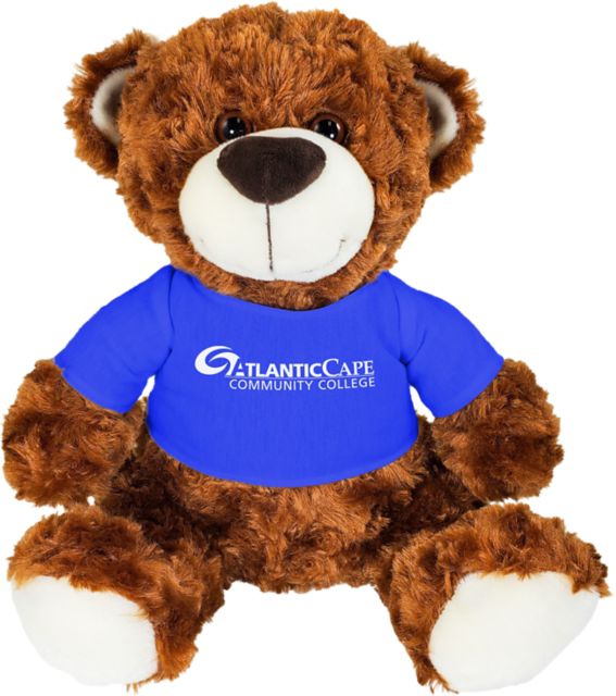 Atlantic Cape Community College 10 in. Plush Bear