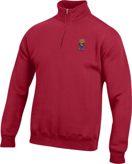 Rensselaer Polytechnic Institute Teddy 1/4 Zip Sweatshirt
