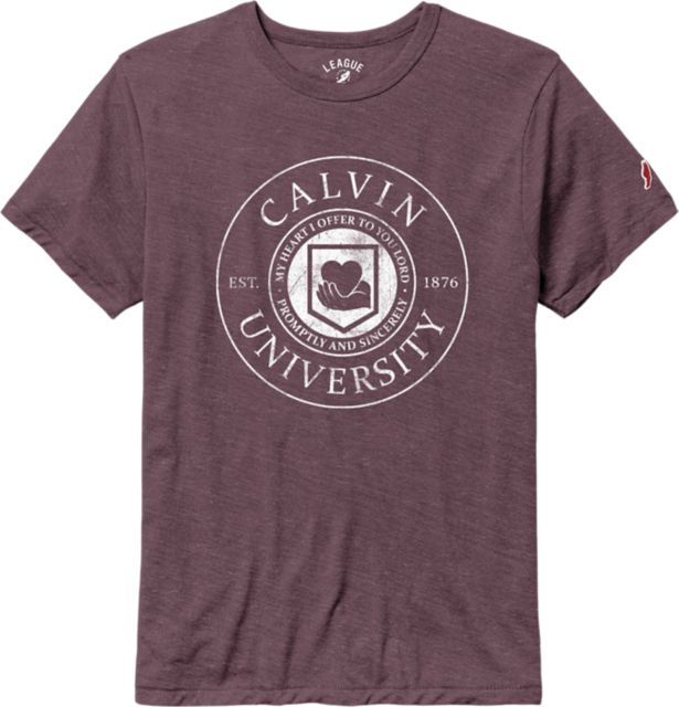 Calvin University Victory Falls Short Sleeve T-Shirt