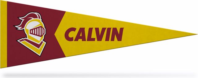 Calvin University Knights 5" x 15" Pennant