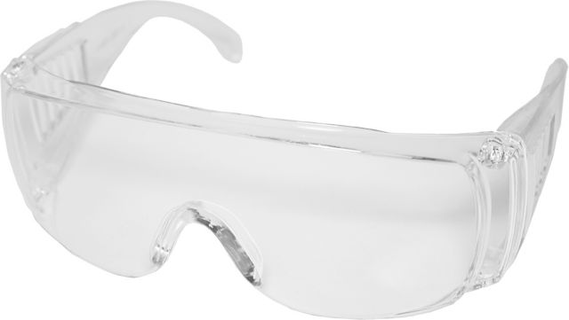 Ward Pro Safety Glasses