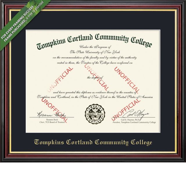 Tompkins Cortland Community College 8.5'' x 11'' Value Price Academic Diploma Frame