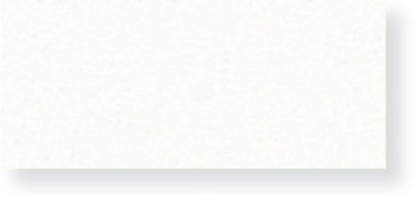 BRISTOL PLATE ART BOARD 16X20