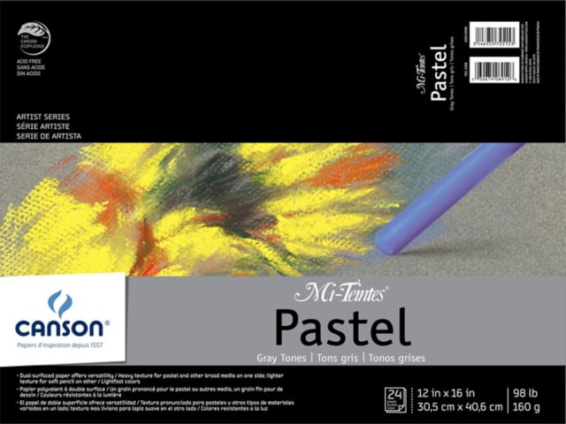 Mi-Teintes 24 Sheets Pad 12X16 Assorted Gray