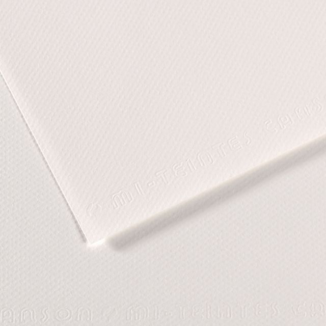 CANSON Feuille MI-TEINTES® 50X65 160g blanc 335 ≡ CALIPAGE