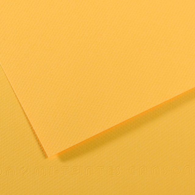 MI-TEINTES 400 CANARY 19X26