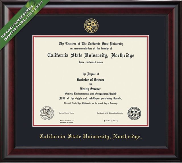 Framing Success Classic 8.5 x 11 Diploma with Double mat