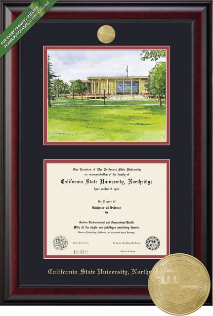 Framing Success Classic 8.5 x 11 Diploma and Lithograph with Double mat and Medallion - ONLINE ONLY