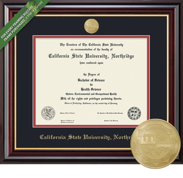 Framing Success Windsor 8.5 x 11 Diploma with Double mat and Medallion