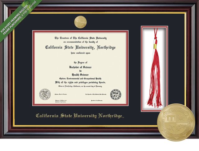 Framing Success Windsor 8.5 x 11 Diploma and Tassel Cut-out with Double mat and Medallion