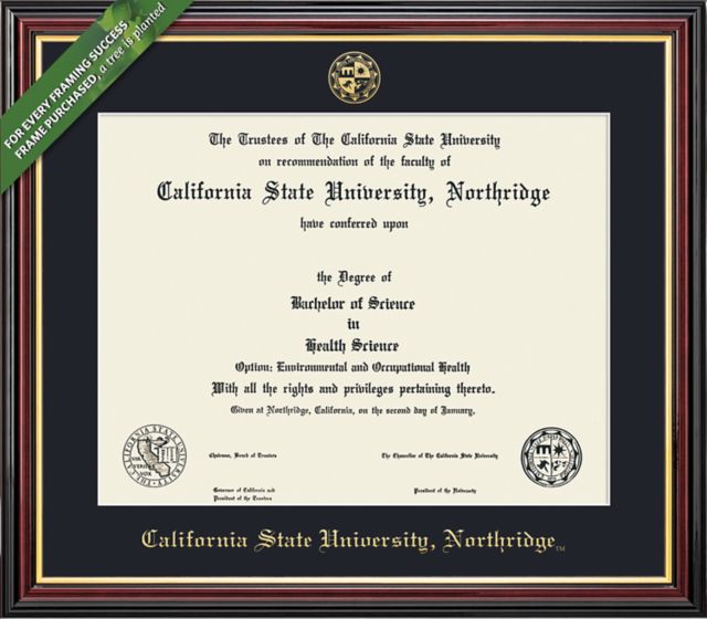 Framing Success Academic 8.5 x 11 Diploma with Single mat