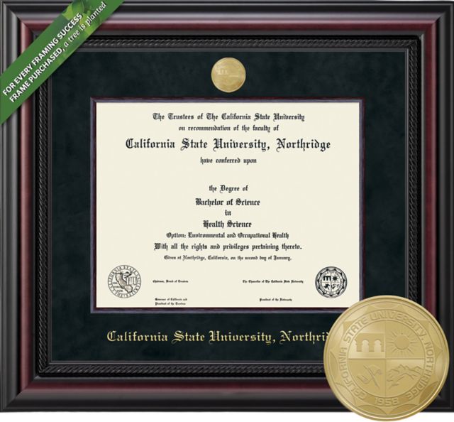 Framing Success Legacy 8.5 x 11 Diploma with Black Suede mat, Wood Fillet and Medallion