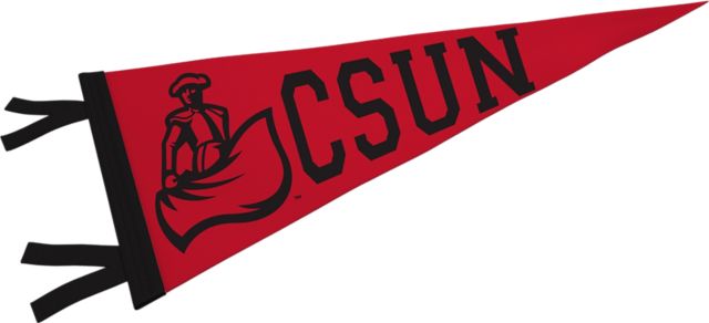 California State University at Northridge Matadors 9'' x 24'' Pennant