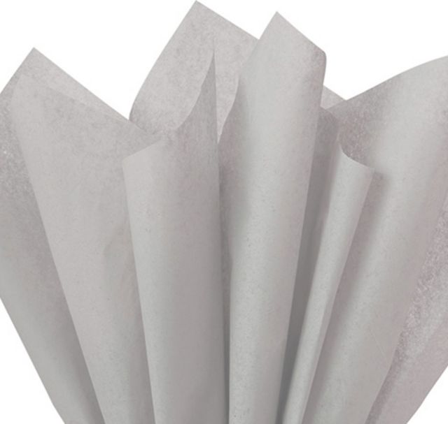 California State University at Northridge 24-Count Tissue Paper Pack