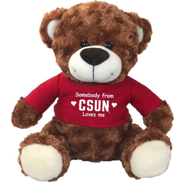 California State University at Northridge 10 in. Plush Bear