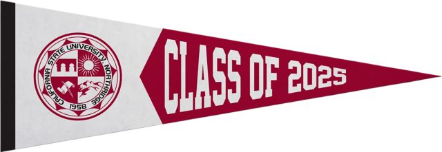 California State University at Northridge 5x15 Pennant