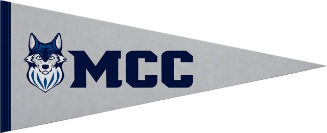 Metropolitan Community College 12"X30" Full Color Pennant