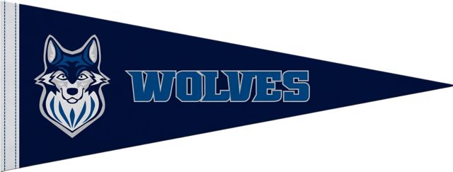 Metropolitan Community College 9"X24" Full Color Pennant