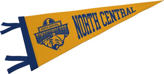 North Central Michigan College 9'' x 24'' Pennant