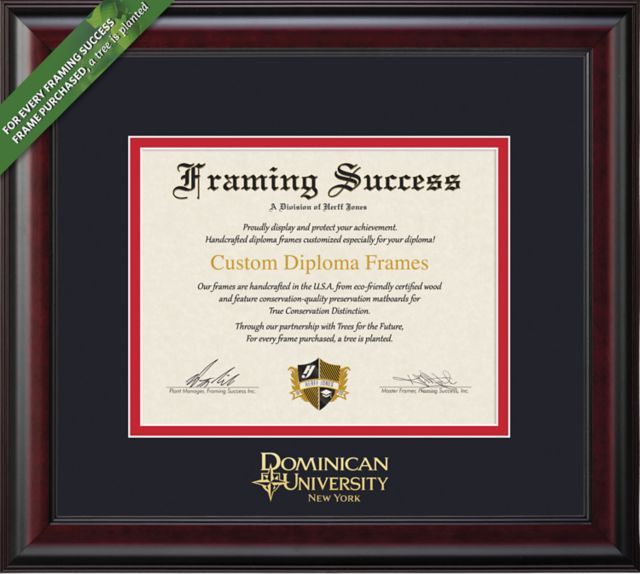 Framing Success Classic 8.5 x 11 Diploma with Double Mat - ONLINE ONLY