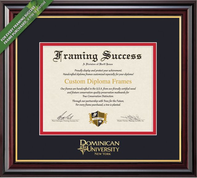 Framing Success Windsor 8.5 x 11 Diploma with Double Mat - ONLINE ONLY
