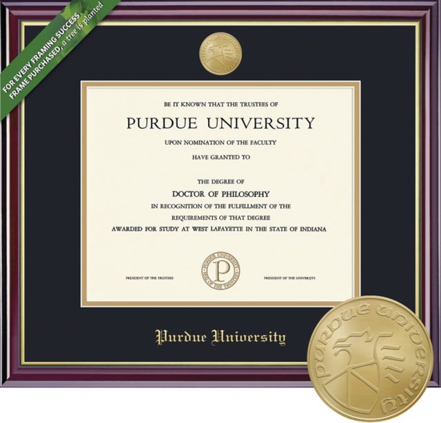 Purdue University Northwest 7'' x 9'' Windsor Diploma Frame