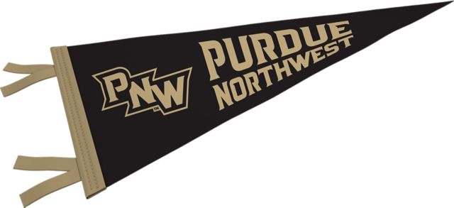 Purdue University Northwest 9'' x 24'' Pennant