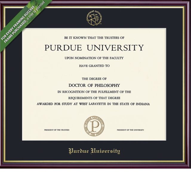 Purdue University Northwest 8'' x 10'' Value Price Academic Diploma Frame