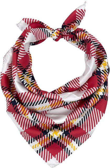 University of Louisville Handkerchief