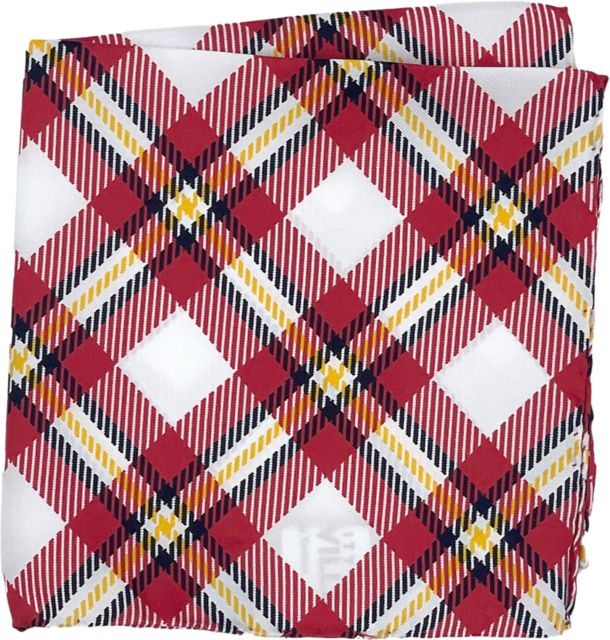 University of Louisville Pocket Square