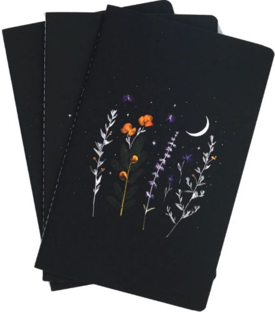 NOTEBK AMEYAS REALM SKINNY 3PK