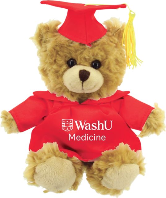 Washington University School of Medicine in St. Louis 10'' Graduation Bear