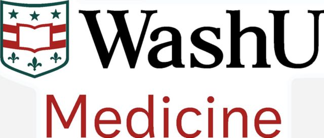 WashU School of Medicine in St. Louis Bears Mini Magnet
