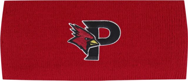 SUNY Plattsburgh Ear Band