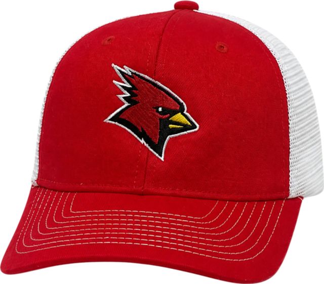 SUNY Plattsburgh Structured Mesh Cap
