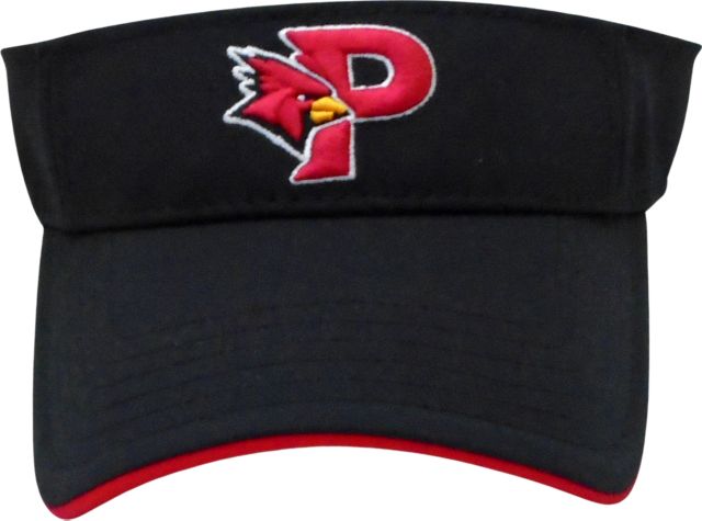 SUNY Plattsburgh Visor