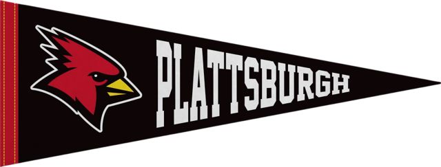 SUNY Plattsburgh 9"X24" Full Color Pennant