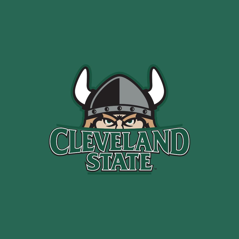 CSU Vikings Logo