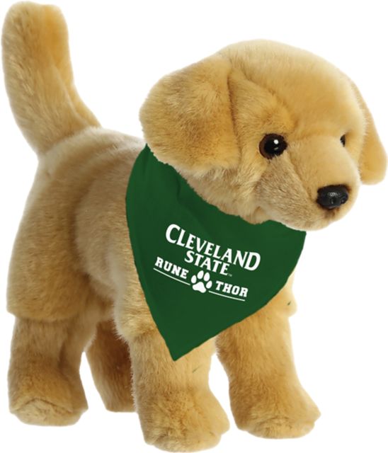 Cleveland State University Rune & Thor Plush