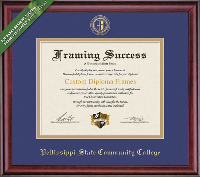 Framing Success Classic 8.5 x 11 Diploma with Double mat- ONLINE ONLY