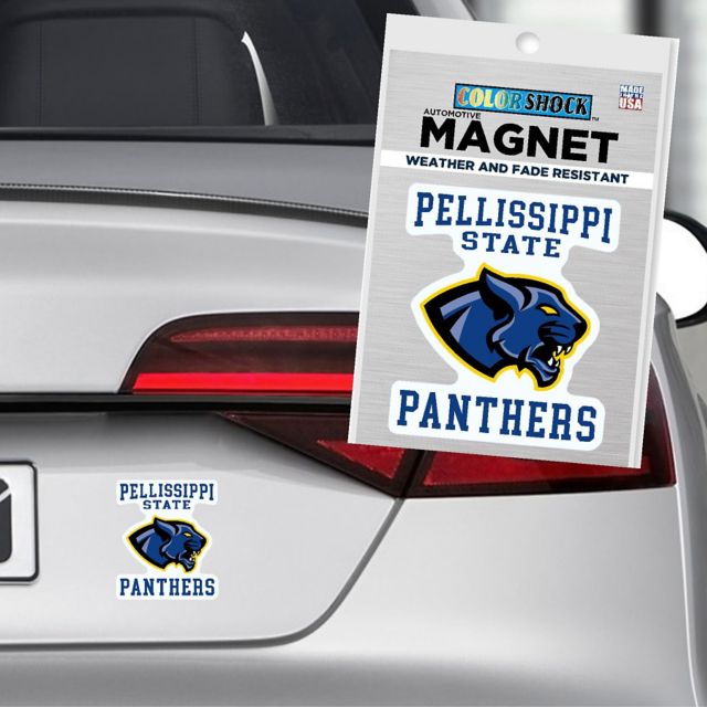 Pellissippi State Community College 4x4 Small Panthers Magnet