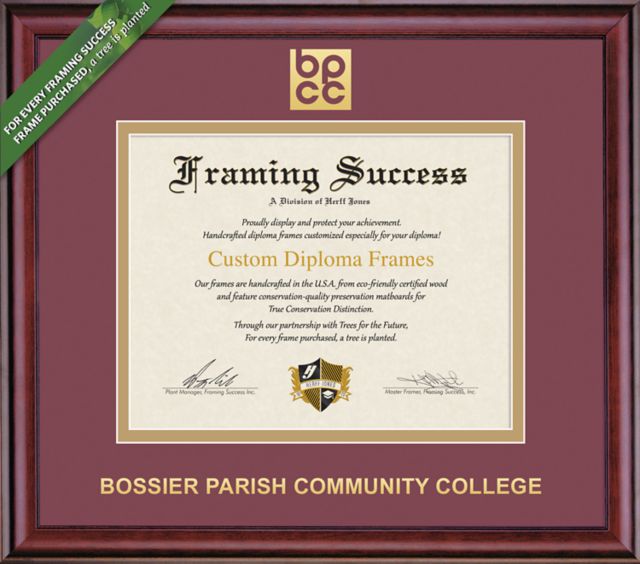 Framing Success Classic 8.5 x 11 Diploma with Double mat- ONLINE ONLY