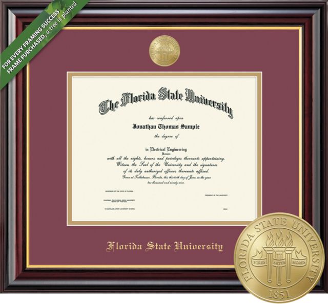 Framing Success Windsor 11 x 14 Diploma with Double mat and Medallion