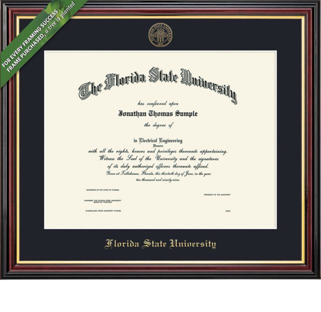 Framing Success Academic 11 x 14 Diploma with Single mat