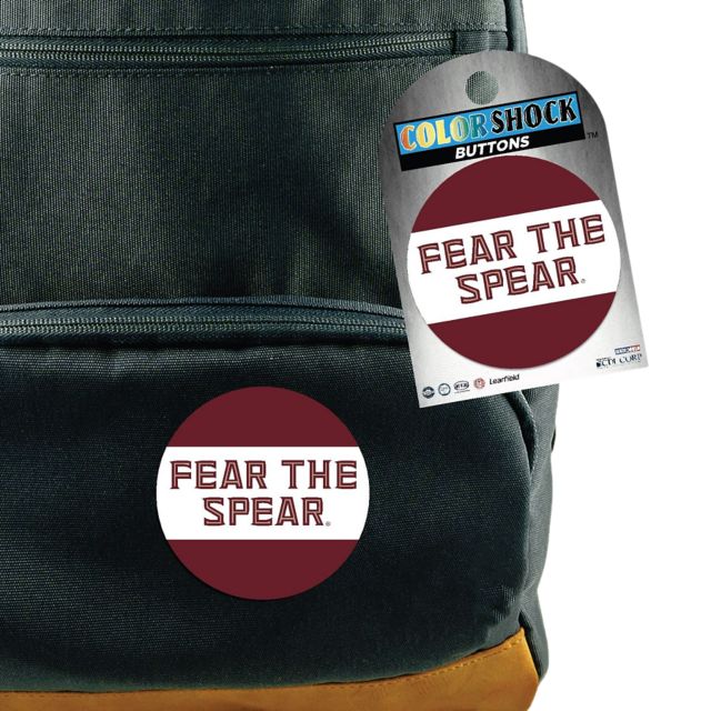 Florida State University 3'' Button